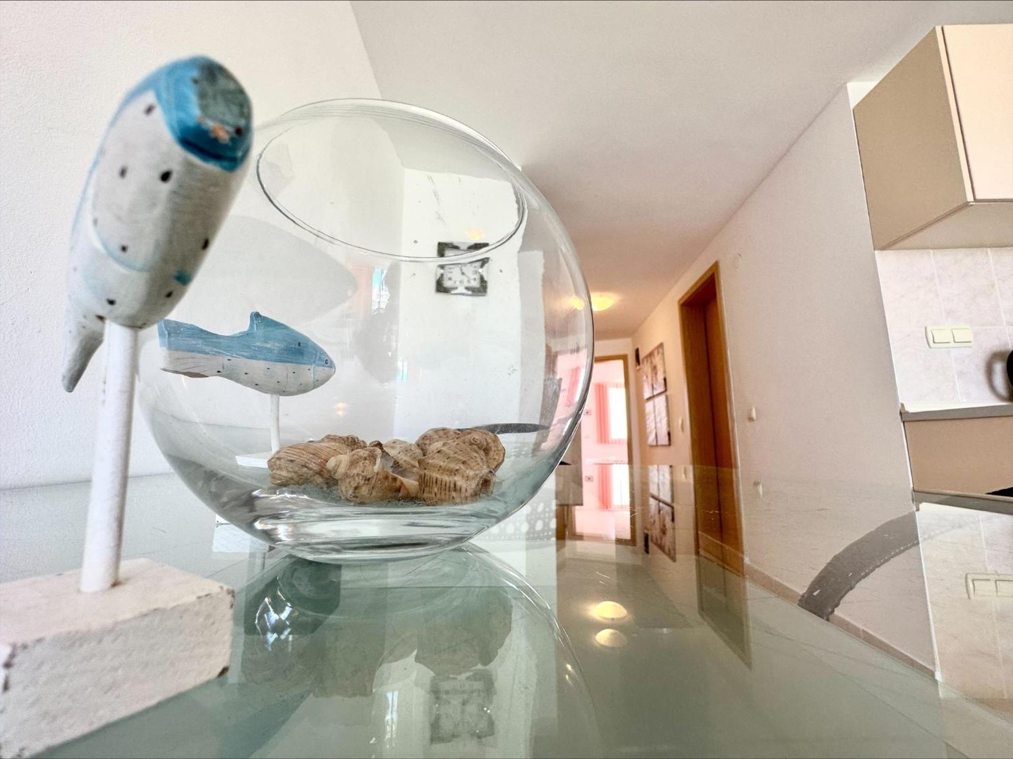 Julia Family - Menada Apartments Sunny Beach Dış mekan fotoğraf